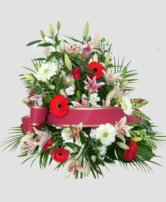 Centro Piramidal Premium