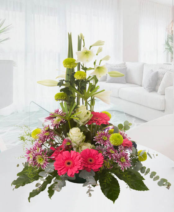 Centro de Flores Tunez